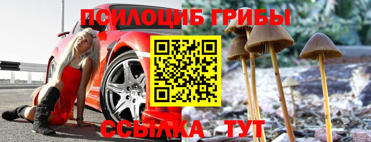 Меф Кировск