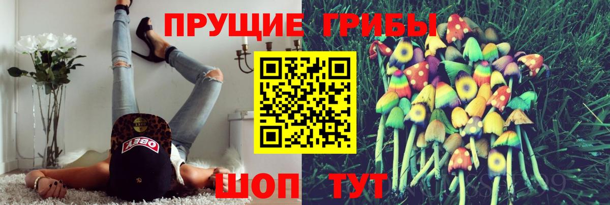 Галлюциногенные грибы мухоморы Кировск