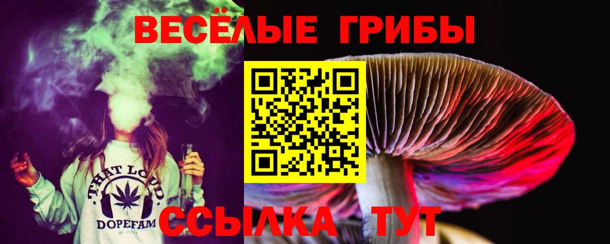 Кировск  Псилоцибиновые грибы GOLDEN TEACHER  Вход с VPN 